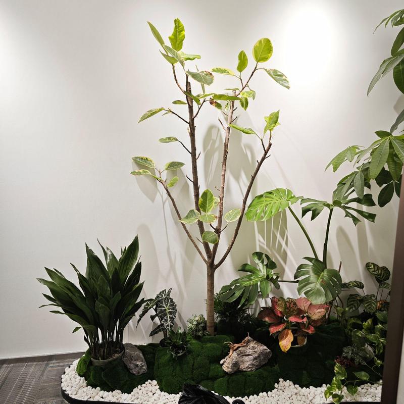 打造生机盎然的办公空间 前台绿植造景与花卉租摆全指南