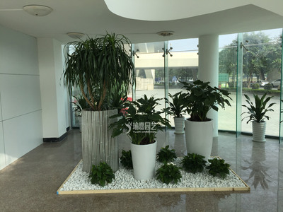 绿植租赁&middot;花卉租摆&middot;绿化养护一站式服务