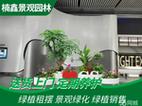 绿植租摆与园林绿化 打造绿色空间的商业之道